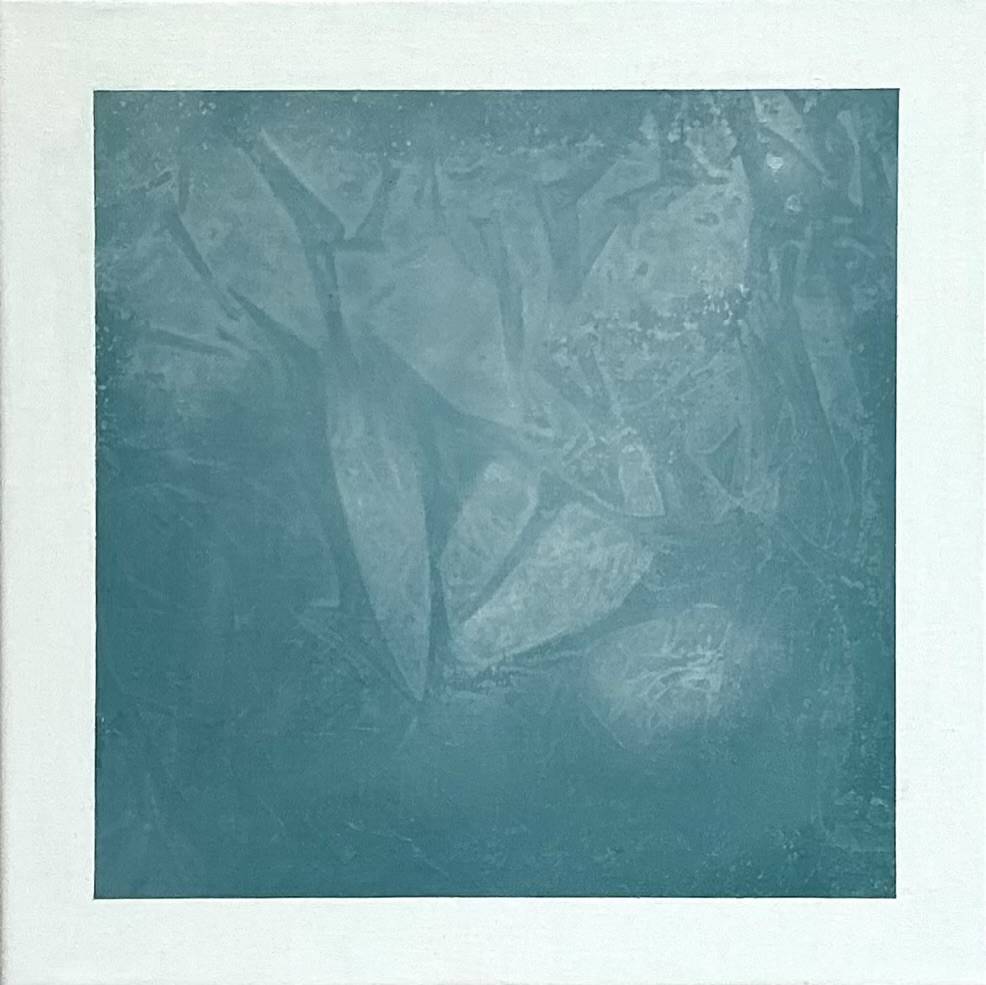 Givre-de-Lumiere-formes organiques du givre, pour une beauté glaciale mais splendide