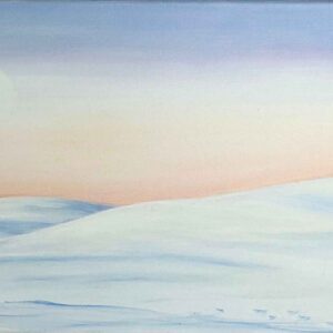 fraîcheur de la neige-douceur du couchant-traces fugaces dans l'immensité blanche