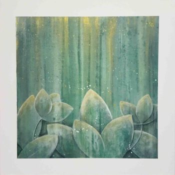 Transparences Végétales